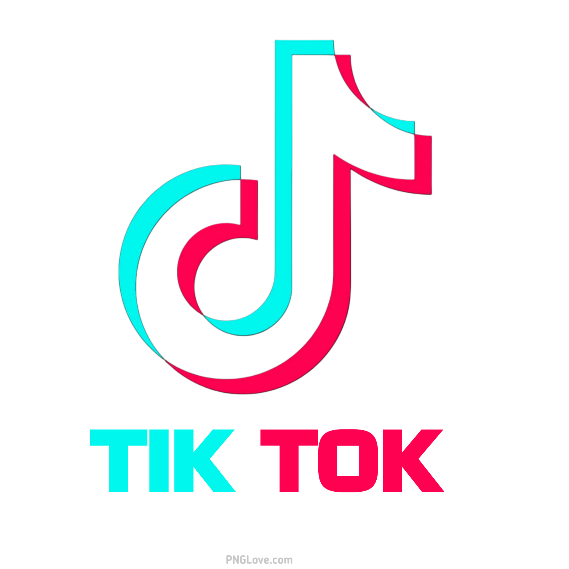 TikTok Icon