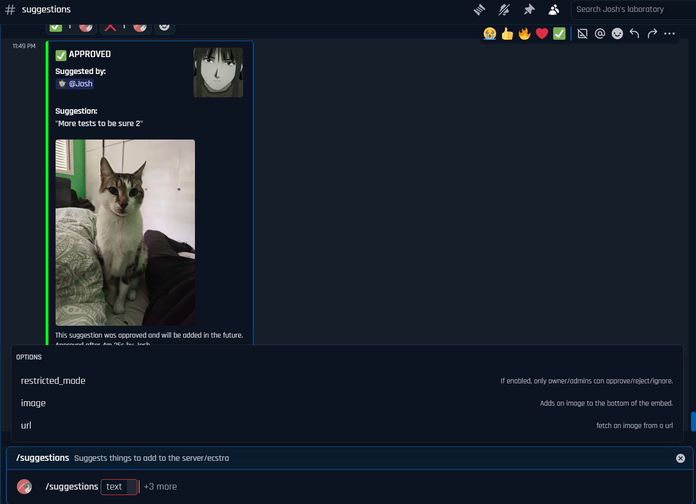 images inside the suggestions command